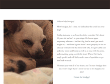 Tablet Screenshot of littleolddogsanctuary.com